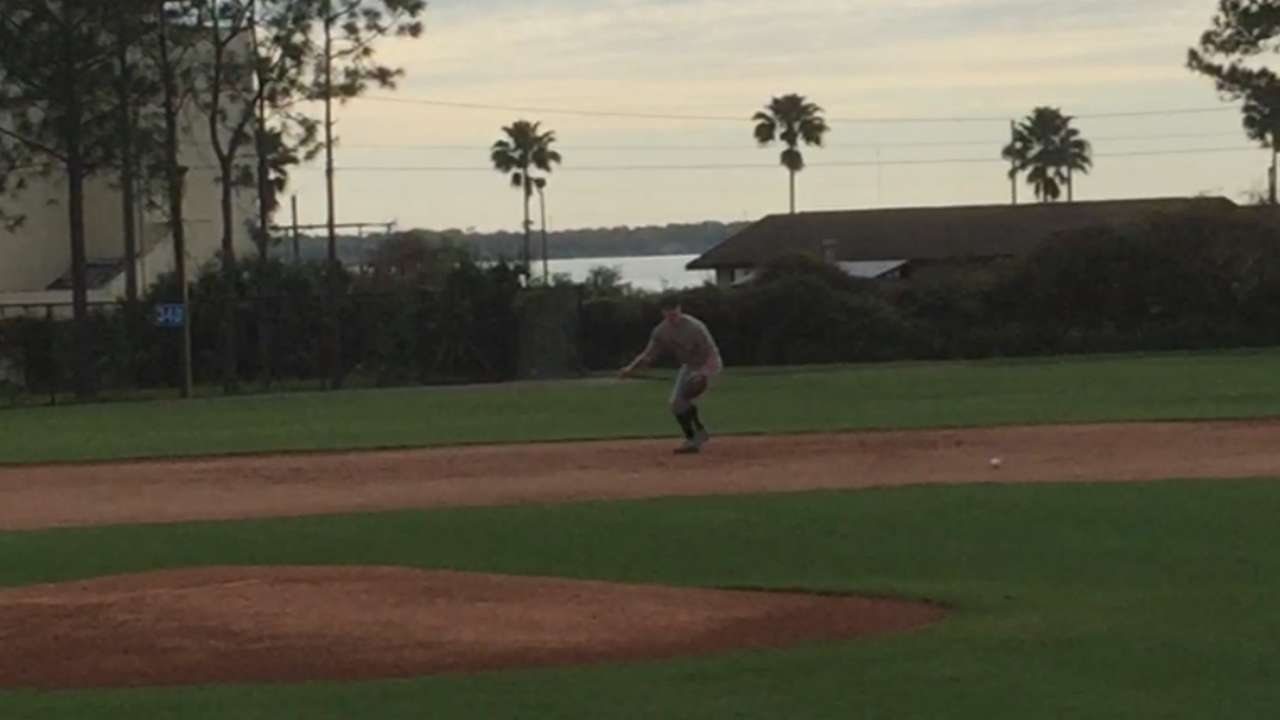 Courageous veteran, amputee tries out for Tigers