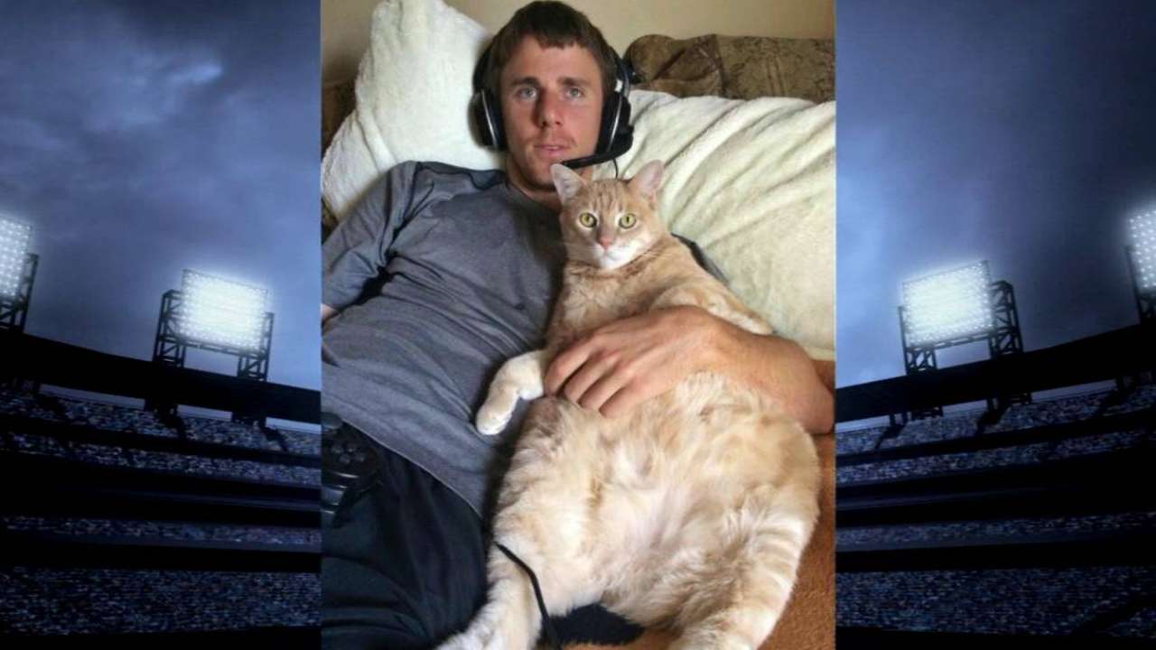 Duffy's cat
