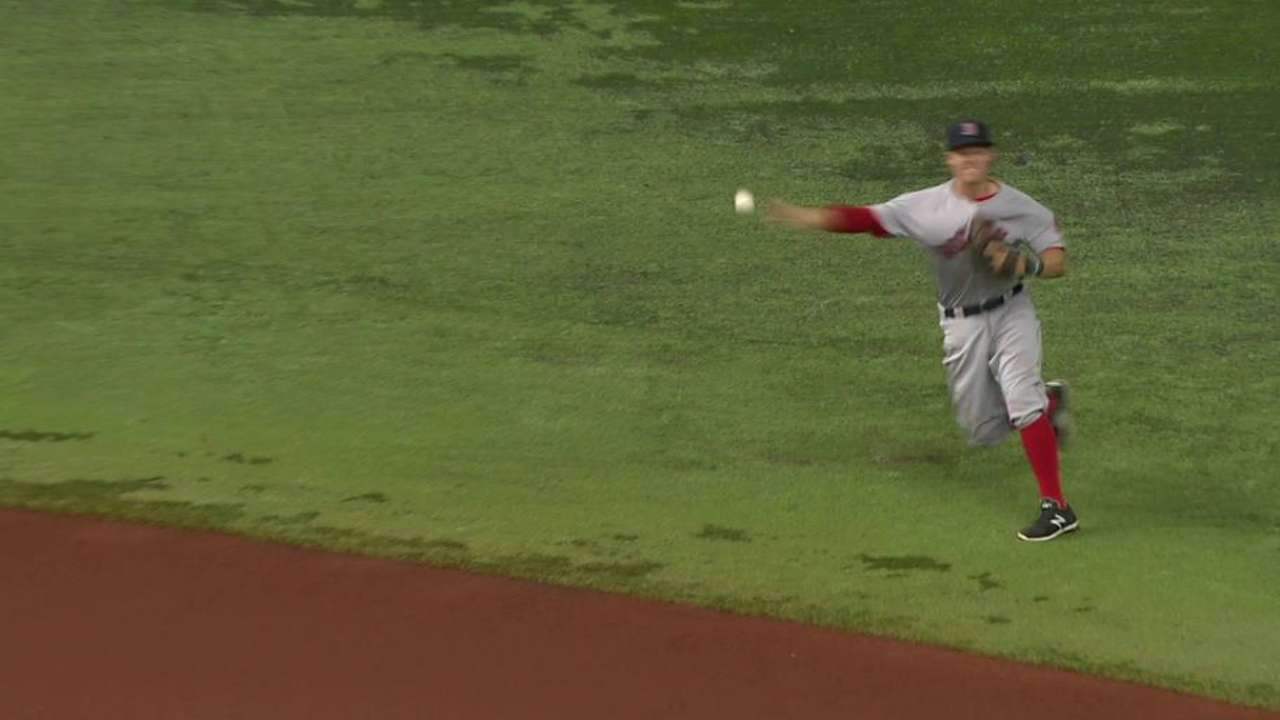 Holt's diving stop