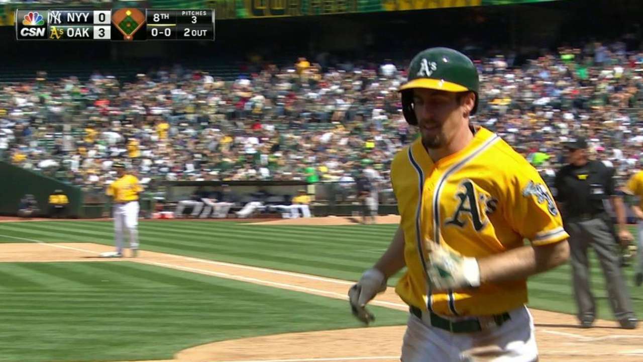 Vogt's sac fly