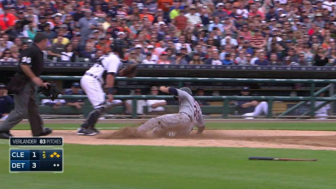 Kipnis' sac fly
