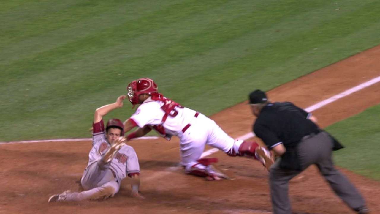 Pollock's sac fly stands
