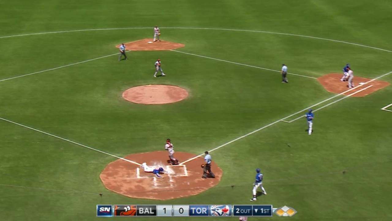 Encarnacion's sac fly