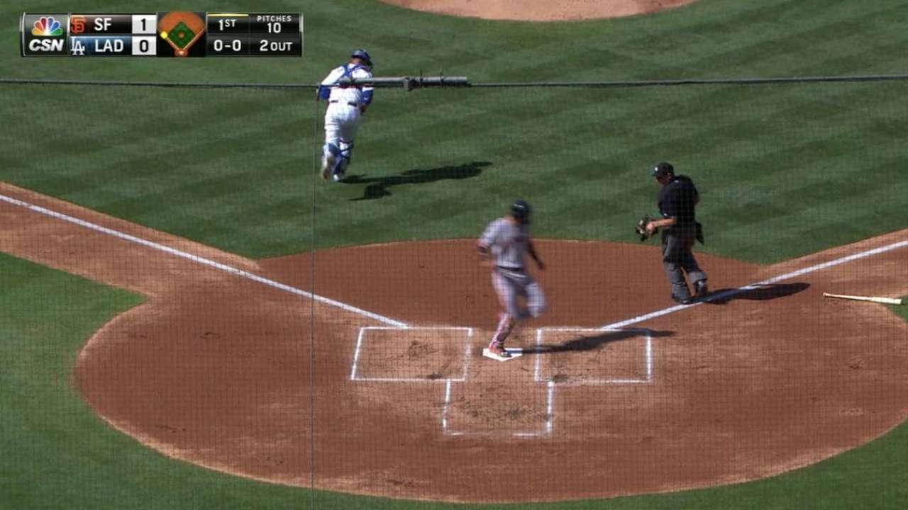 Posey's sac fly