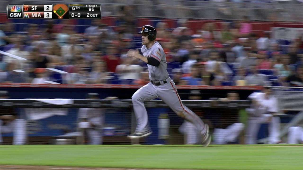 Belt's sac fly
