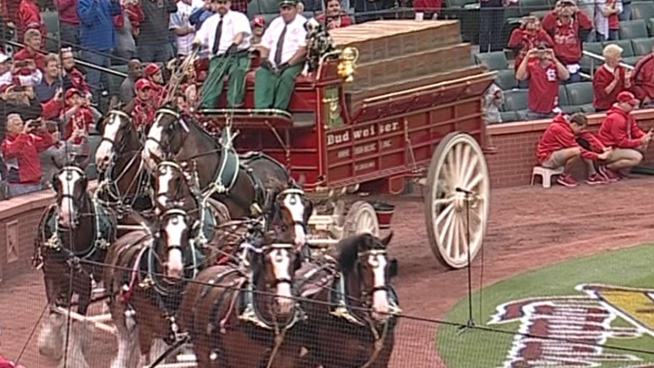 Clydesdales kick off NLDS