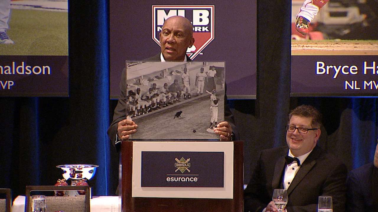Jenkins tells 'black cat' story
