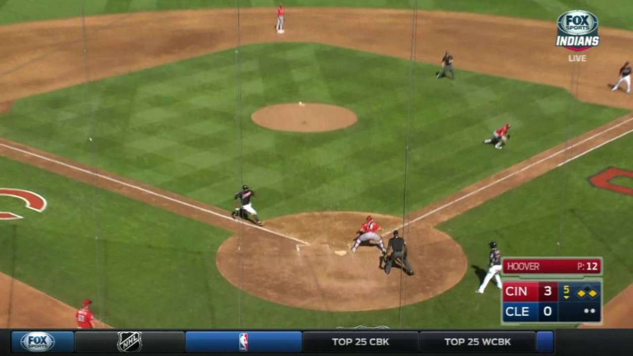 Gonzalez's sac fly