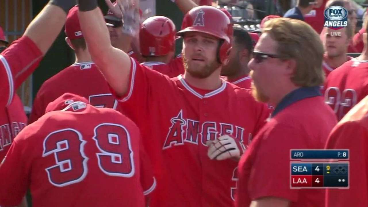 Soto's sac fly