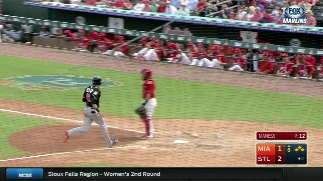 Dietrich's sac fly