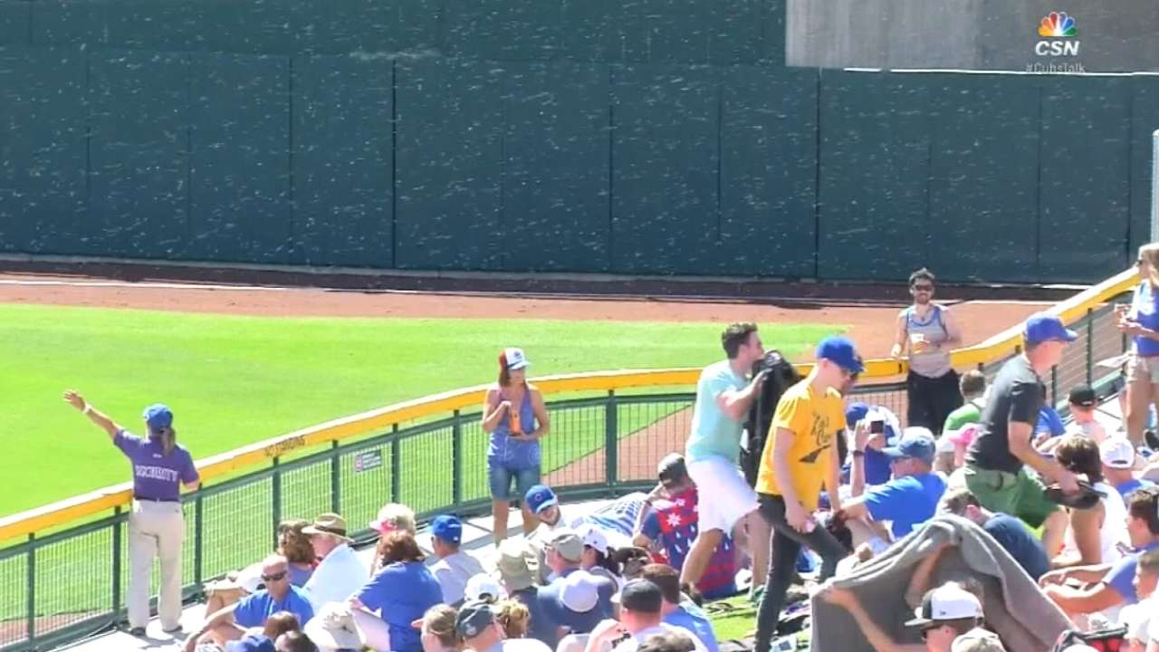 Side doesn't worry Fowler; bees another story