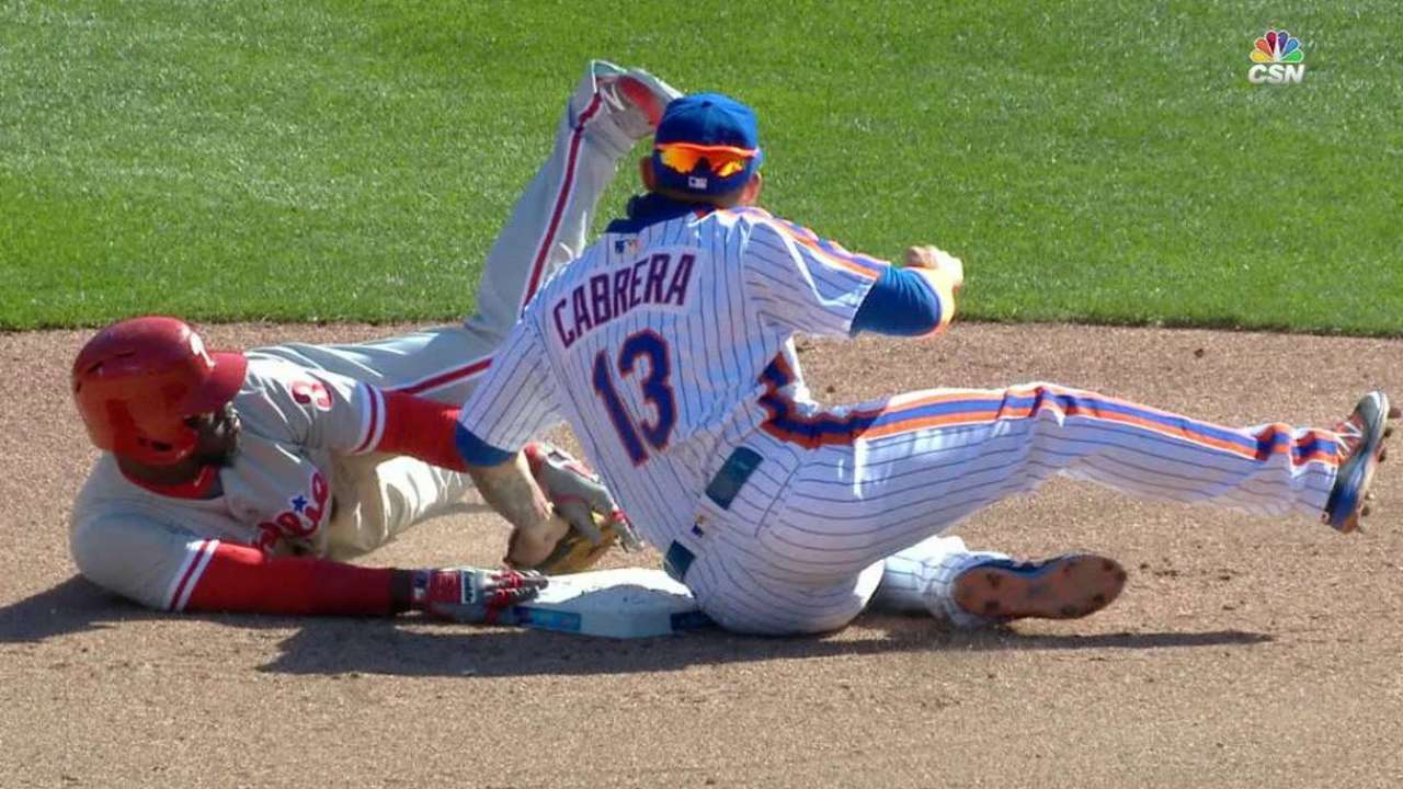Howard's sac fly