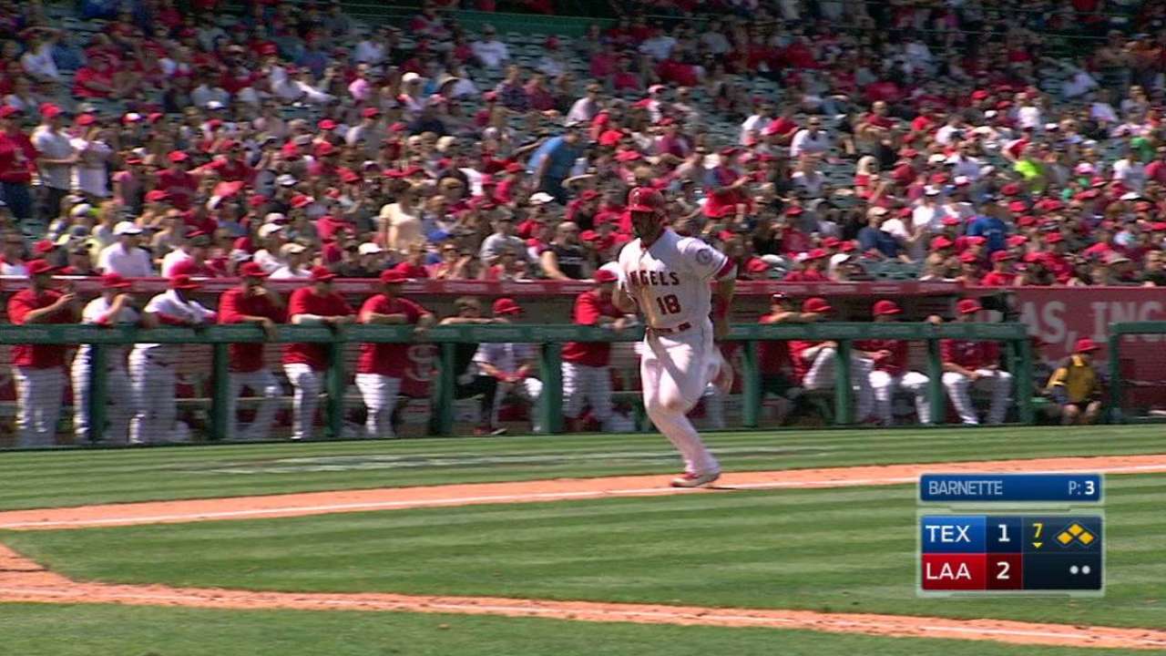 Trout's sac fly