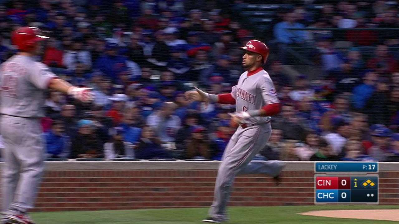 Bruce's sac fly
