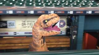 Jurassic ballpark: Dinosaur plays catch