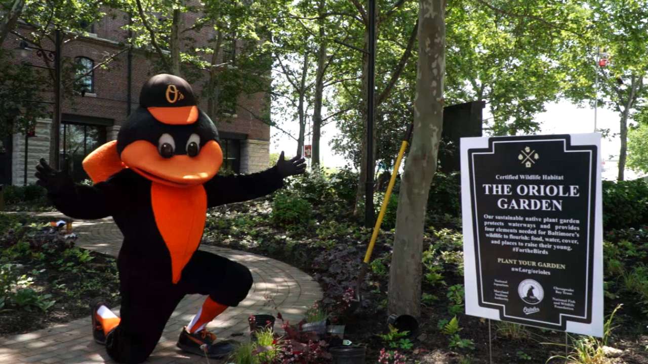 For the birds: Oriole Garden opens with special mission