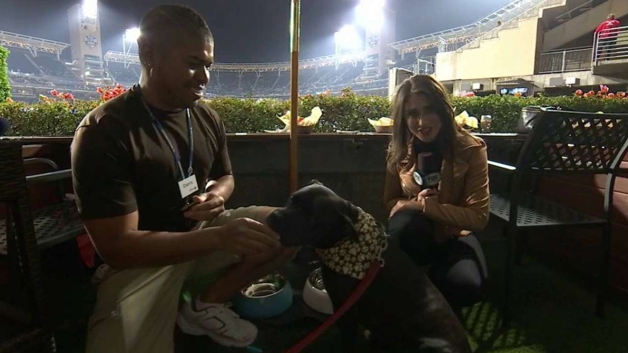 A closer look at Petco Park