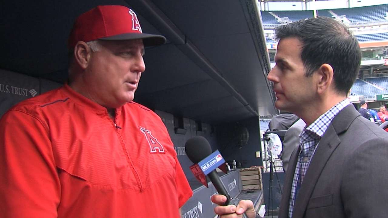 Scioscia ready to manage Angels for years to come