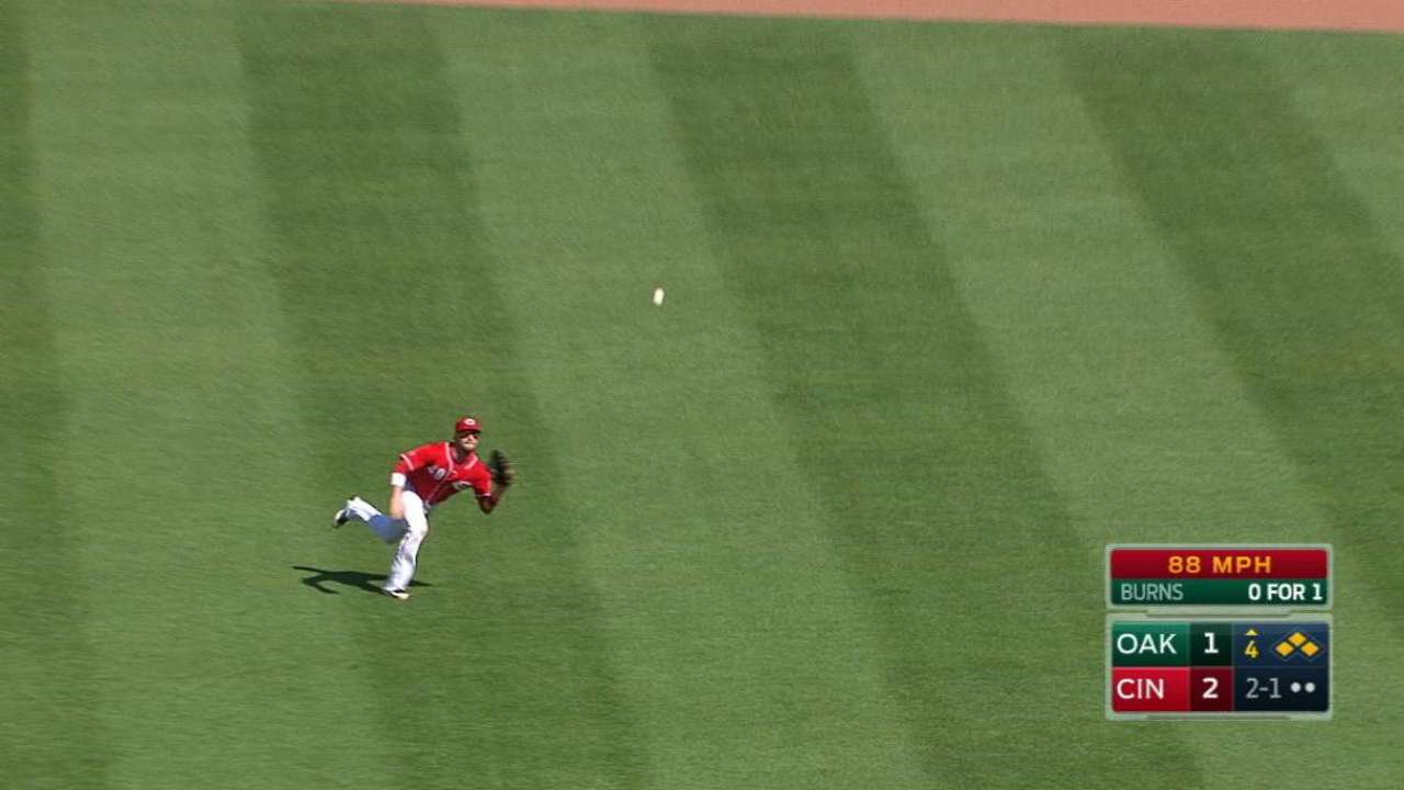 Holt's diving catch
