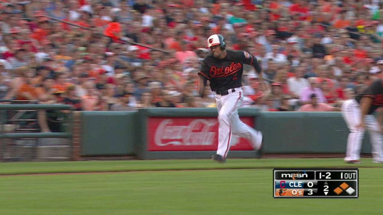 Jones' sac fly