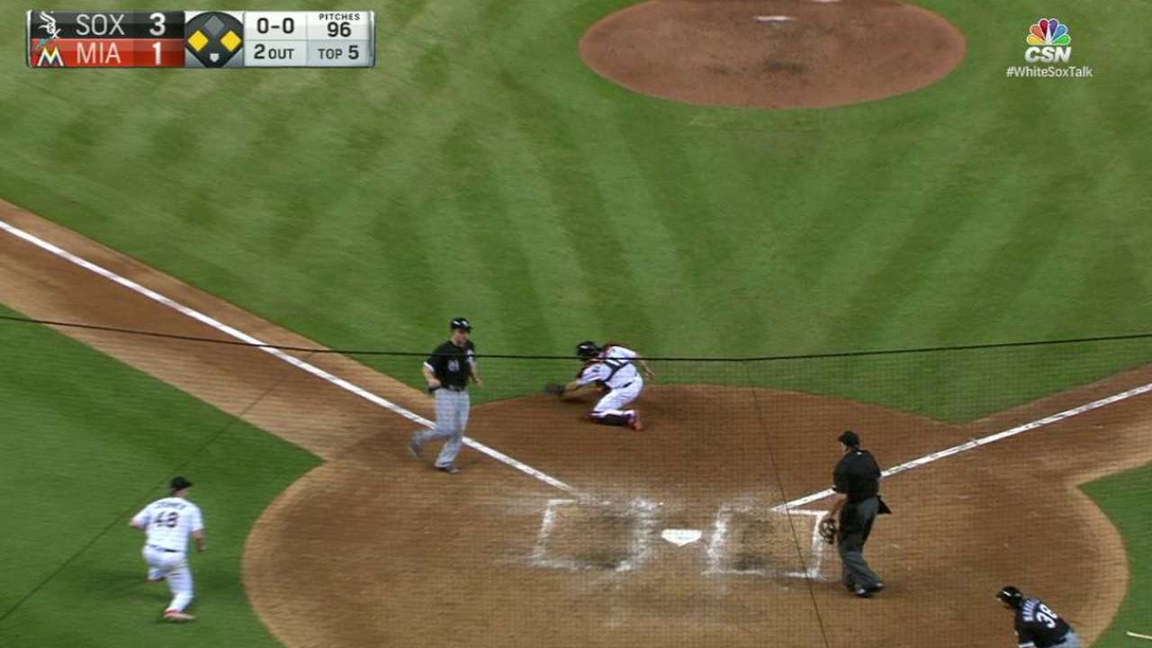 Anderson's sac fly
