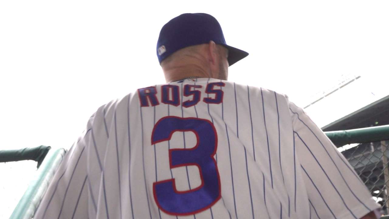 Influential Ross enjoying sunset of playing career