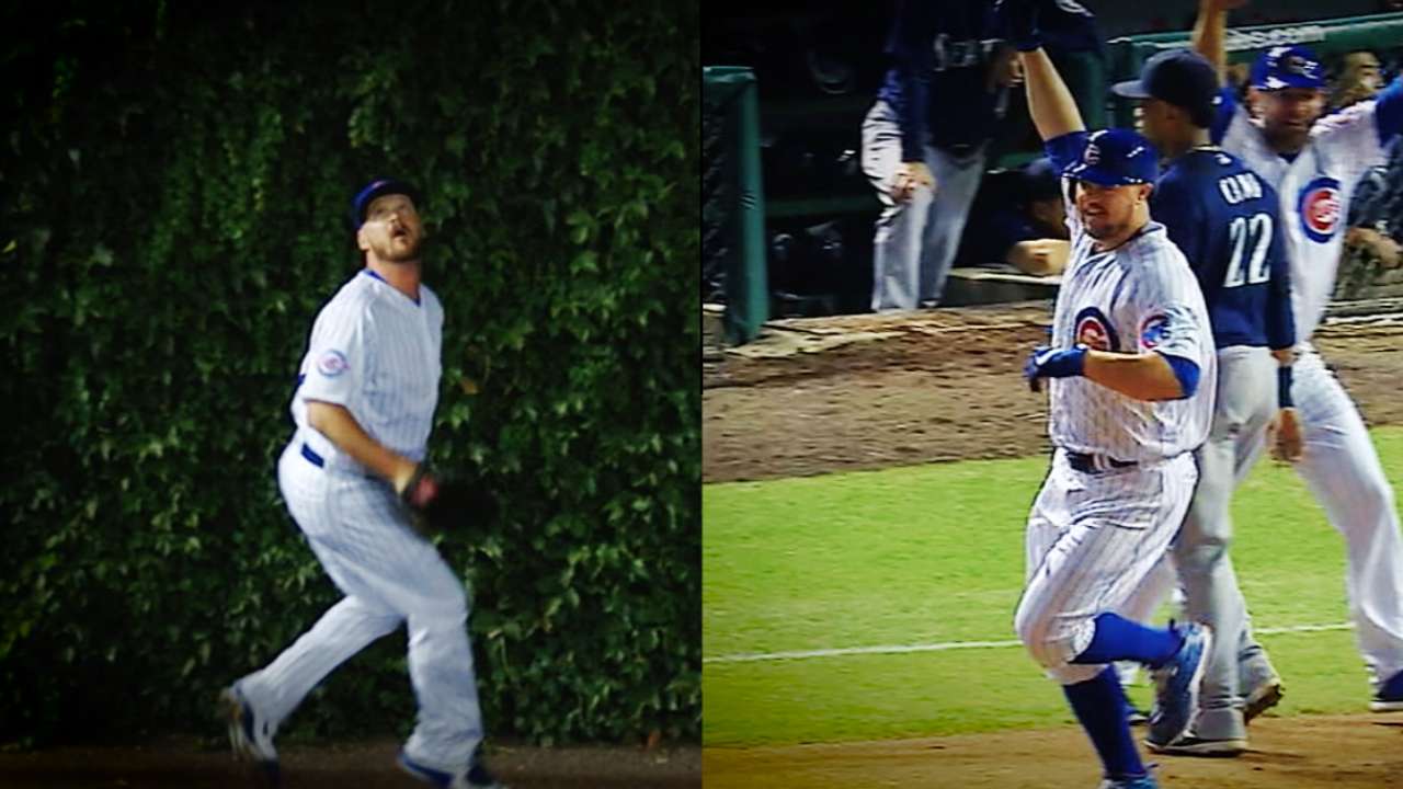Pitchers' ivy snag, squeeze cap wild Cub W