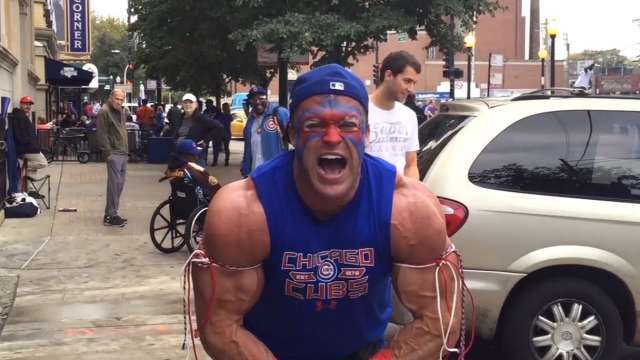 This bodybuilding fan would trade his enormous muscles for a Cubs World Series championship - MLB.com
