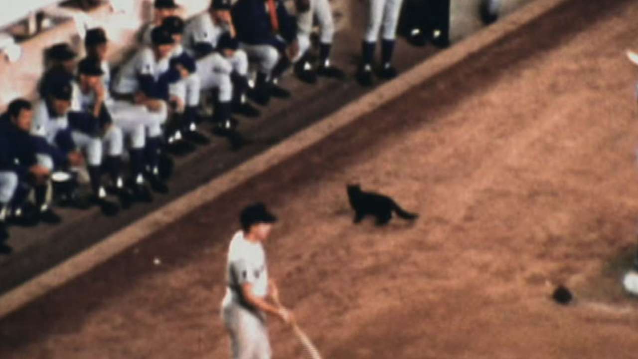 Jenkins on 'Black Cat Game'