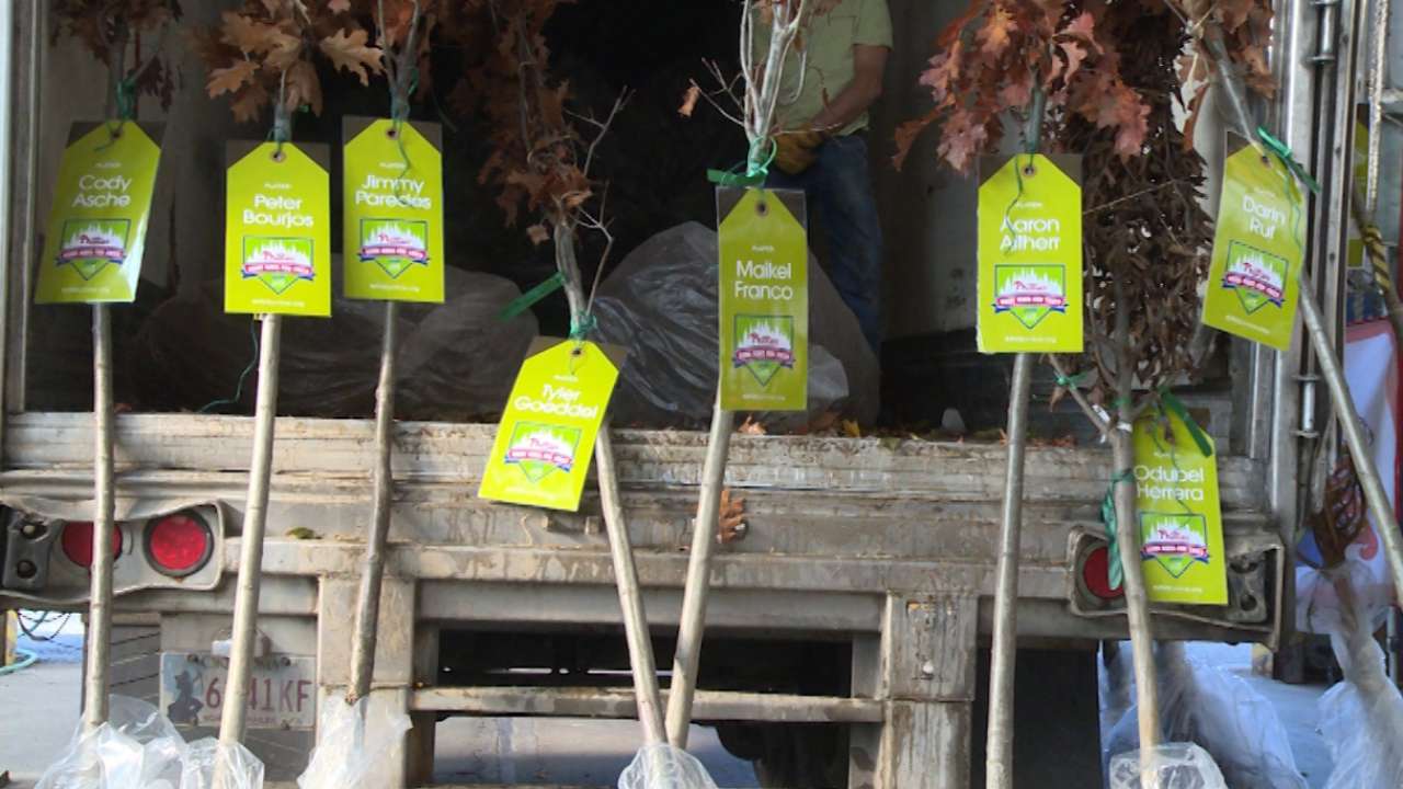 Home Runs for Trees