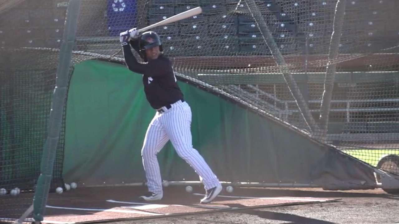 Mayo on prospect Gleyber Torres