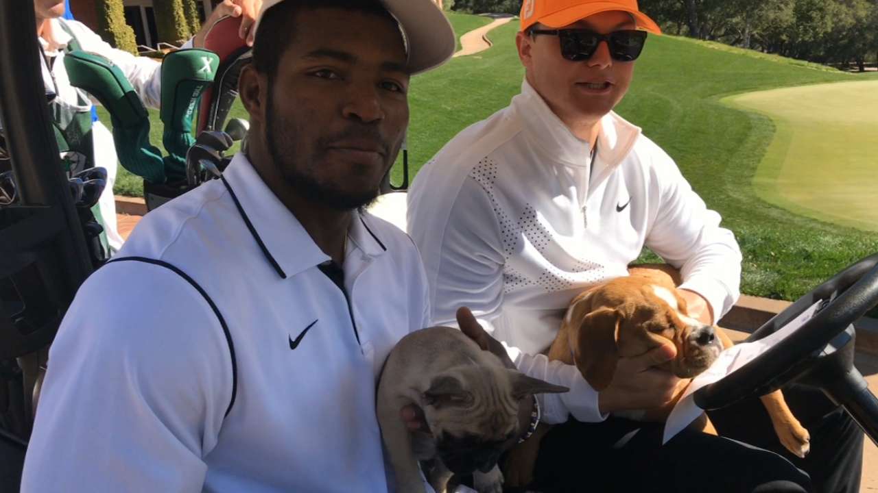 Pederson and Puig golf with dogs