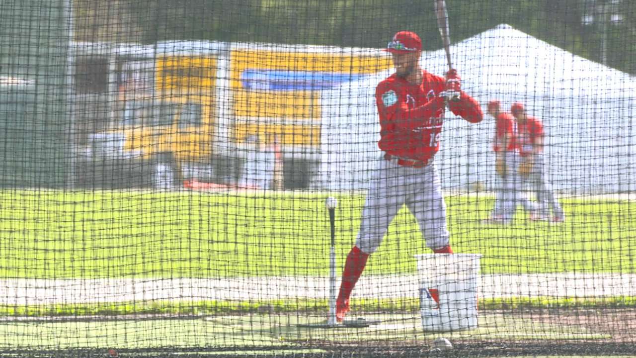 Schafer offers flexibility in outfield, on mound