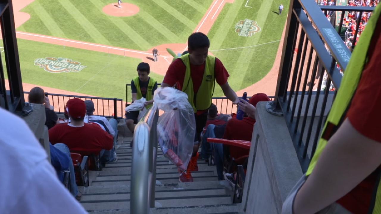 St. Louis Cardinals Green Team