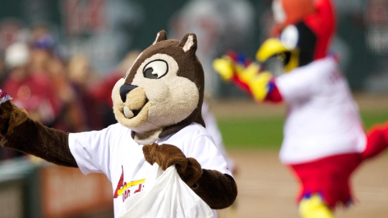 Rally Squirrel and other fun