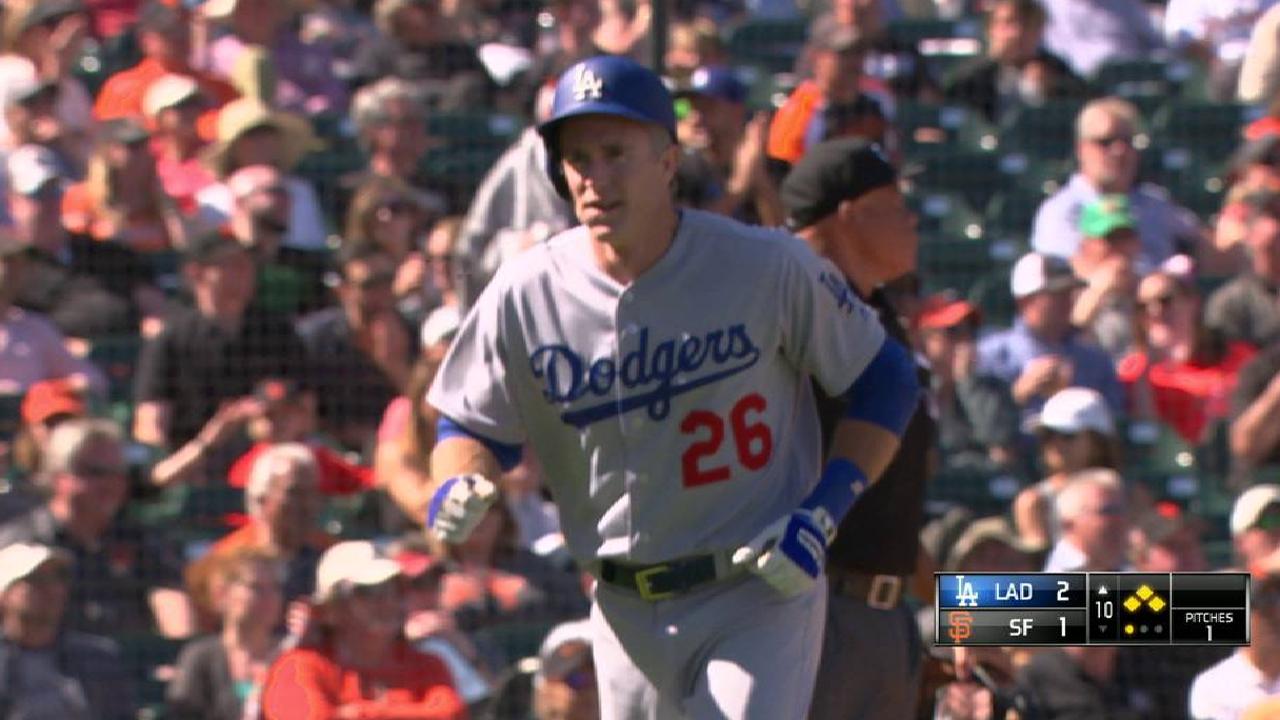 Hernandez's sac fly