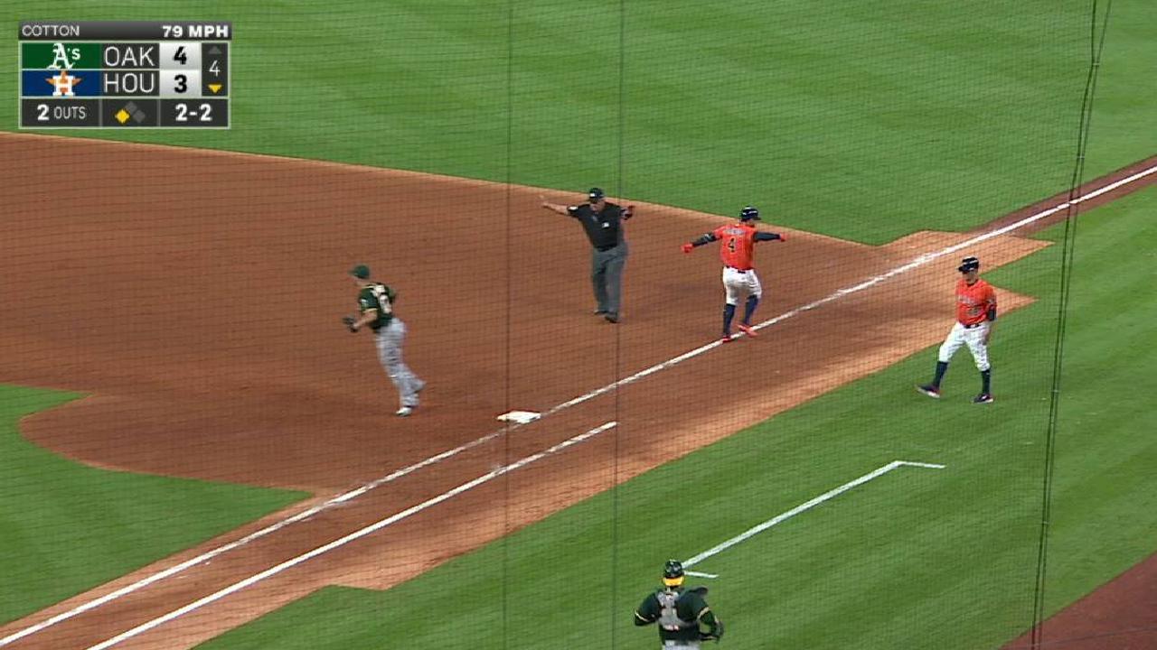 Springer
