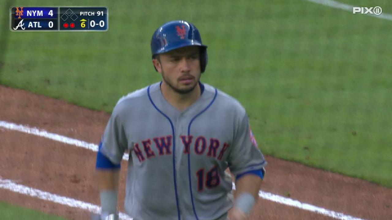 d'Arnaud's sac fly