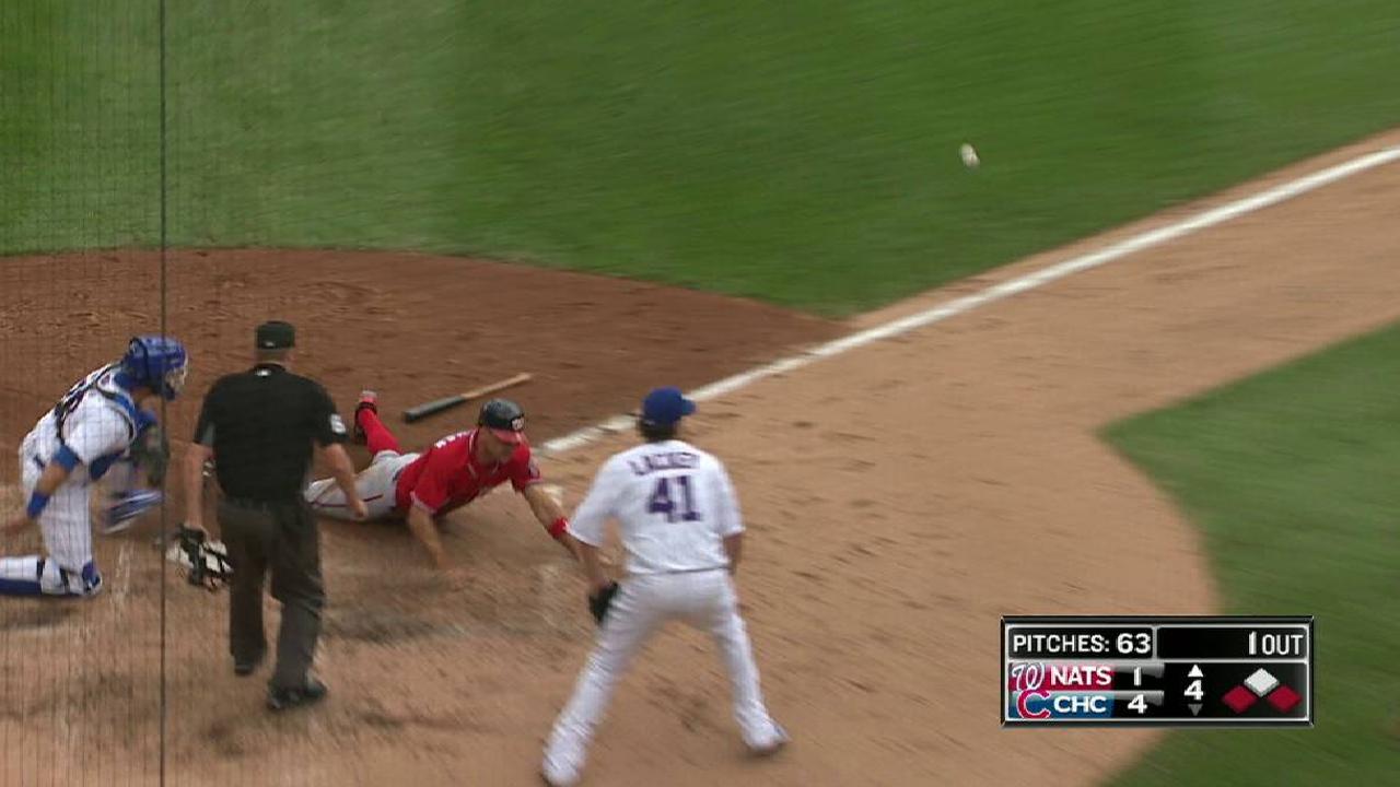 Rendon's sac fly