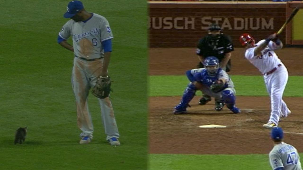 Molina's grand slam keeps Cardinals rolling