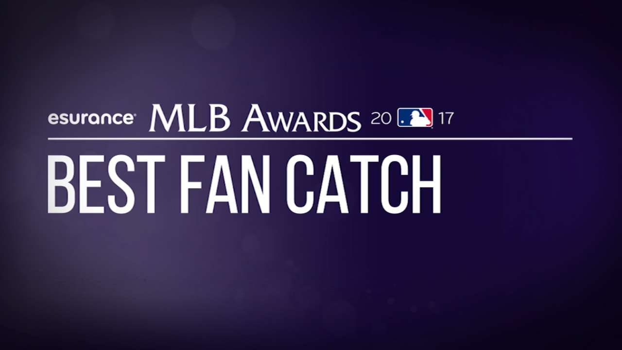 Packed field for Esurance Best Fan Catch