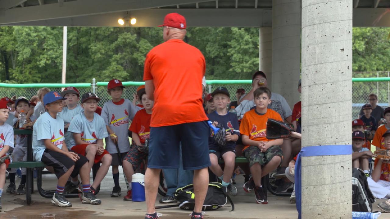 st louis cardinals columbia shirt