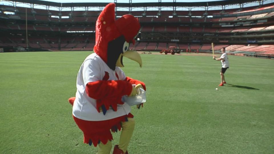 Cards Kids Show: Episode 26